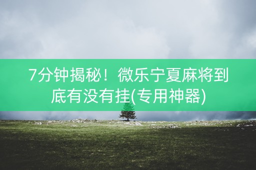 7分钟揭秘！微乐宁夏麻将到底有没有挂(专用神器)