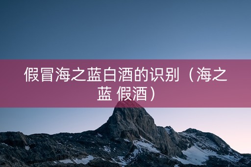 假冒海之蓝白酒的识别（海之蓝 假酒）