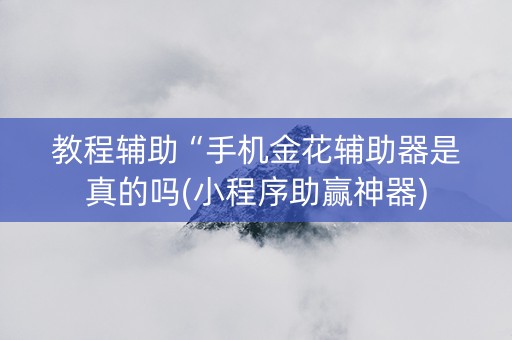 教程辅助“手机金花辅助器是真的吗(小程序助赢神器)