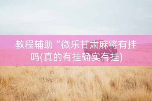 教程辅助“微乐甘肃麻将有挂吗(真的有挂确实有挂)