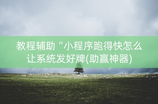 教程辅助“小程序跑得快怎么让系统发好牌(助赢神器)