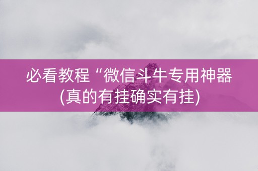 必看教程“微信斗牛专用神器(真的有挂确实有挂)