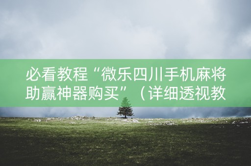 必看教程“微乐四川手机麻将助赢神器购买”（详细透视教程）-哔哩哔哩