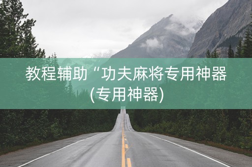 教程辅助“功夫麻将专用神器(专用神器)