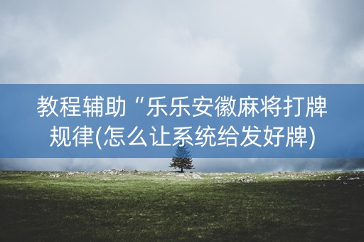 教程辅助“乐乐安徽麻将打牌规律(怎么让系统给发好牌)