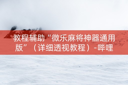 教程辅助“微乐麻将神器通用版”（详细透视教程）-哔哩哔哩
