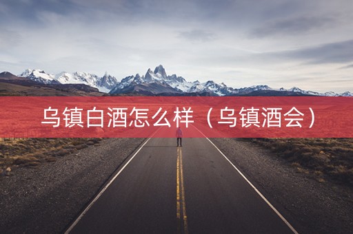 乌镇白酒怎么样（乌镇酒会）