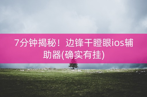 7分钟揭秘！边锋干瞪眼ios辅助器(确实有挂)