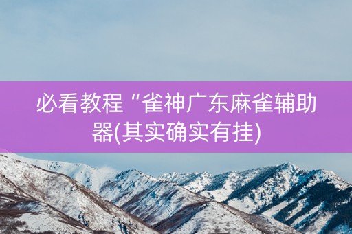 必看教程“雀神广东麻雀辅助器(其实确实有挂)