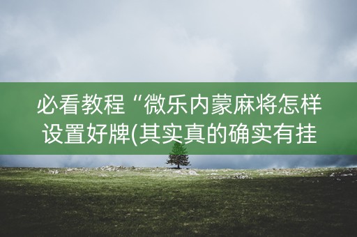 必看教程“微乐内蒙麻将怎样设置好牌(其实真的确实有挂)