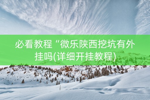 必看教程“微乐陕西挖坑有外挂吗(详细开挂教程)