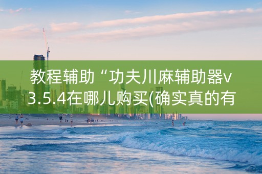 教程辅助“功夫川麻辅助器v3.5.4在哪儿购买(确实真的有挂)