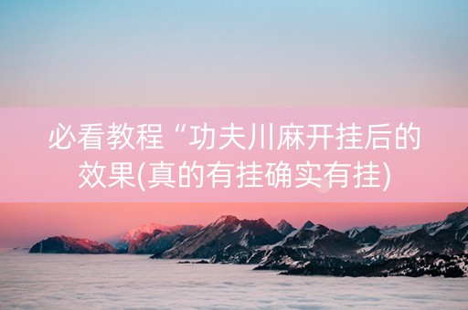 必看教程“功夫川麻开挂后的效果(真的有挂确实有挂)