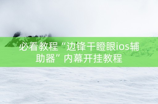必看教程“边锋干瞪眼ios辅助器”内幕开挂教程