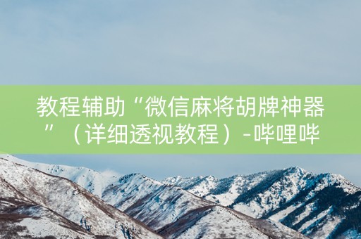 教程辅助“微信麻将胡牌神器”（详细透视教程）-哔哩哔哩