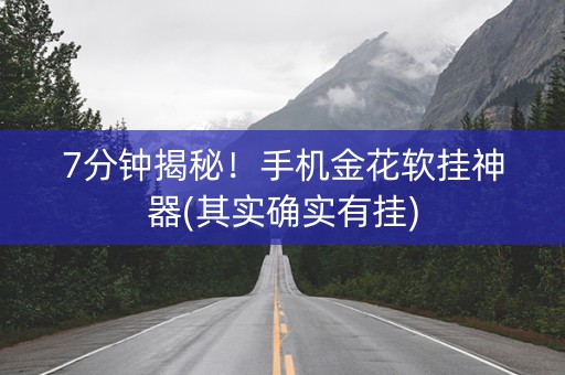 7分钟揭秘！手机金花软挂神器(其实确实有挂)