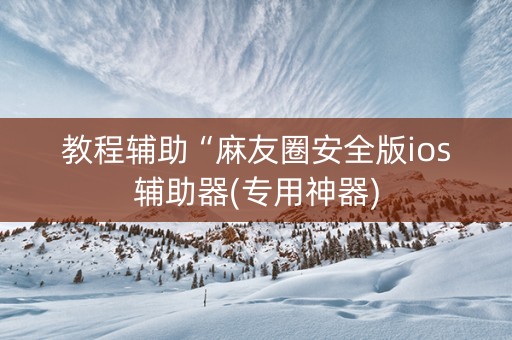 教程辅助“麻友圈安全版ios辅助器(专用神器)