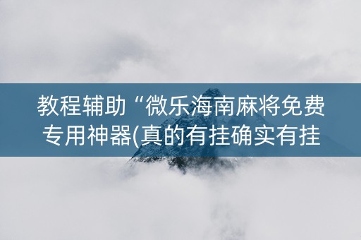 教程辅助“微乐海南麻将免费专用神器(真的有挂确实有挂)