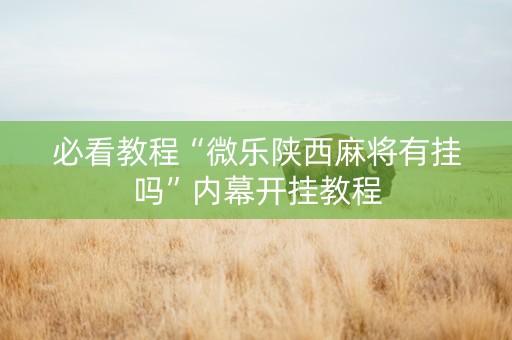 必看教程“微乐陕西麻将有挂吗”内幕开挂教程