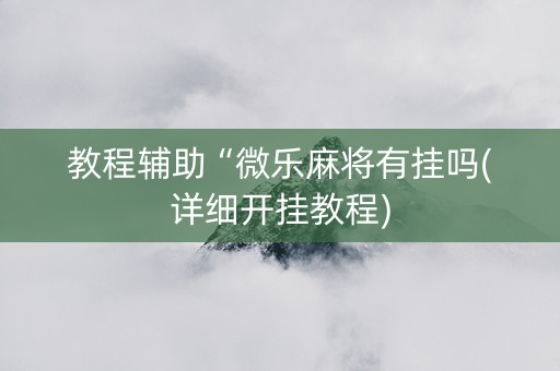 教程辅助“微乐麻将有挂吗(详细开挂教程)