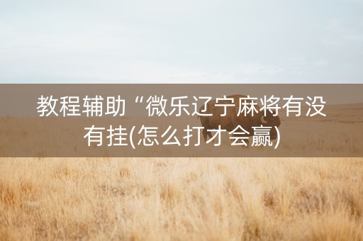 教程辅助“微乐辽宁麻将有没有挂(怎么打才会赢)
