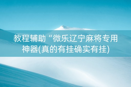 教程辅助“微乐辽宁麻将专用神器(真的有挂确实有挂)