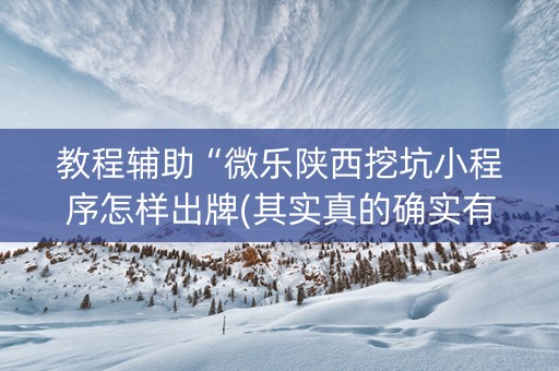 教程辅助“微乐陕西挖坑小程序怎样出牌(其实真的确实有挂)