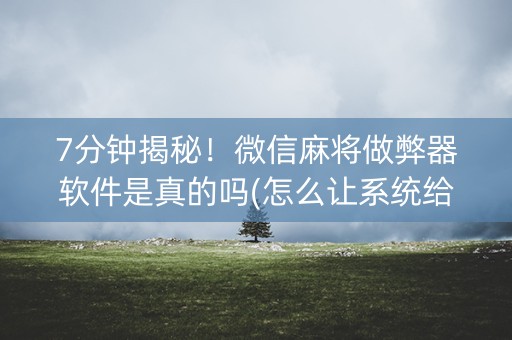 7分钟揭秘！微信麻将做弊器软件是真的吗(怎么让系统给发好牌)
