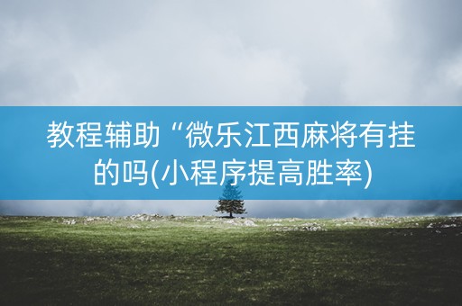 教程辅助“微乐江西麻将有挂的吗(小程序提高胜率)