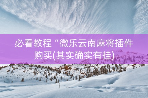 必看教程“微乐云南麻将插件购买(其实确实有挂)