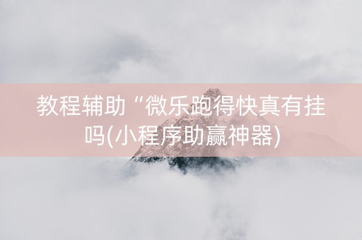 教程辅助“微乐跑得快真有挂吗(小程序助赢神器)