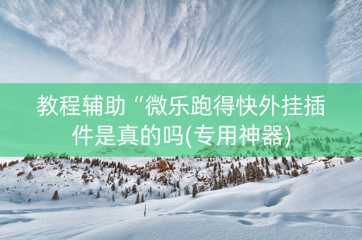 教程辅助“微乐跑得快外挂插件是真的吗(专用神器)