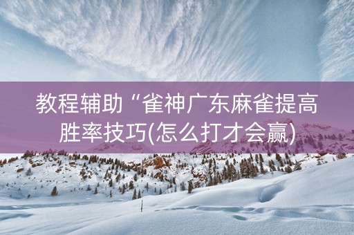 教程辅助“雀神广东麻雀提高胜率技巧(怎么打才会赢)