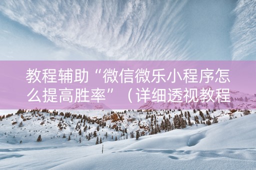 教程辅助“微信微乐小程序怎么提高胜率”（详细透视教程）-哔哩哔哩