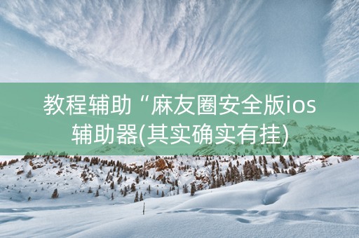教程辅助“麻友圈安全版ios辅助器(其实确实有挂)