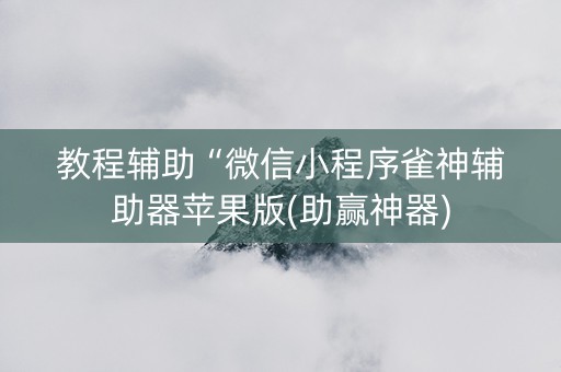 教程辅助“微信小程序雀神辅助器苹果版(助赢神器)