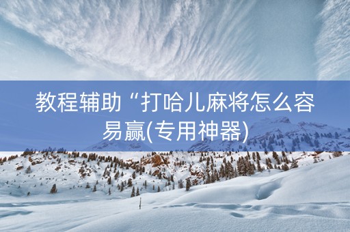 教程辅助“打哈儿麻将怎么容易赢(专用神器)