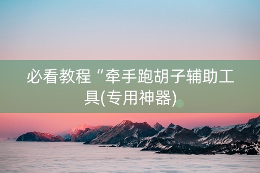 必看教程“牵手跑胡子辅助工具(专用神器)