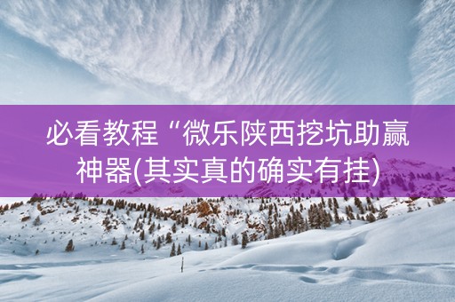 必看教程“微乐陕西挖坑助赢神器(其实真的确实有挂)