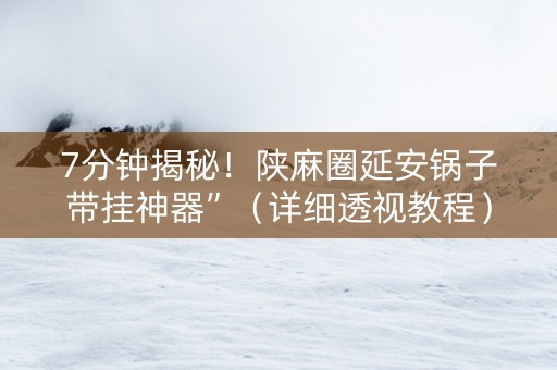 7分钟揭秘！陕麻圈延安锅子带挂神器”（详细透视教程）-哔哩哔哩