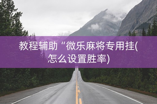 教程辅助“微乐麻将专用挂(怎么设置胜率)