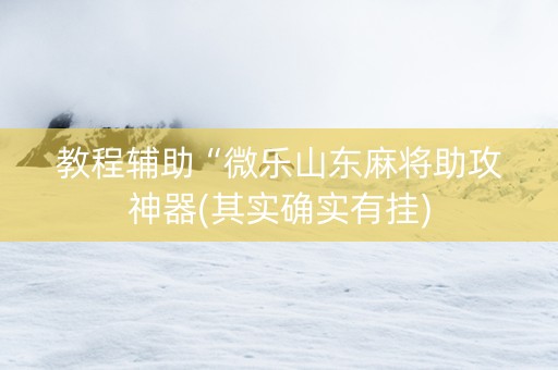 教程辅助“微乐山东麻将助攻神器(其实确实有挂)