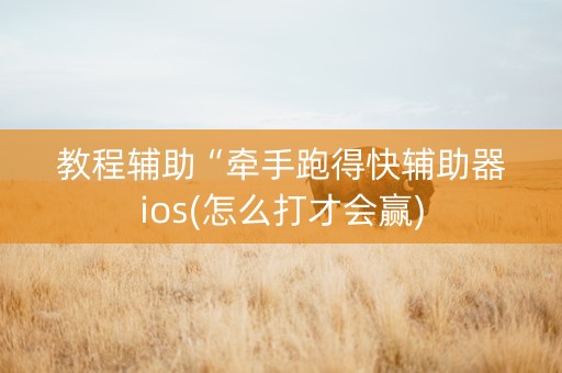 教程辅助“牵手跑得快辅助器ios(怎么打才会赢)