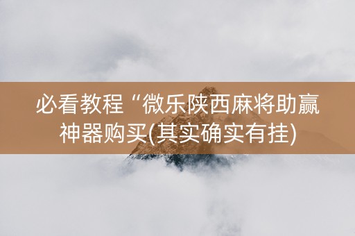 必看教程“微乐陕西麻将助赢神器购买(其实确实有挂)