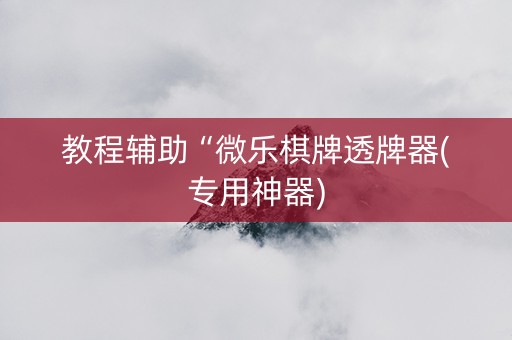 教程辅助“微乐棋牌透牌器(专用神器)