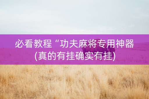 必看教程“功夫麻将专用神器(真的有挂确实有挂)