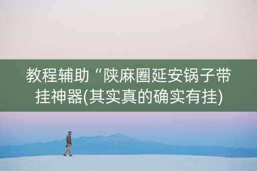 教程辅助“陕麻圈延安锅子带挂神器(其实真的确实有挂)