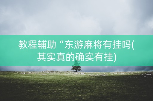 教程辅助“东游麻将有挂吗(其实真的确实有挂)