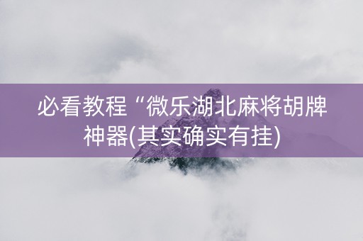 必看教程“微乐湖北麻将胡牌神器(其实确实有挂)