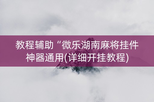 教程辅助“微乐湖南麻将挂件神器通用(详细开挂教程)